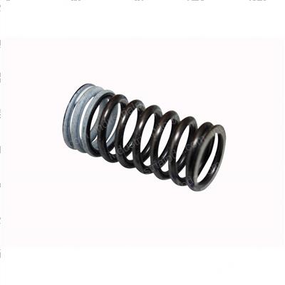 Picture of Spring - Exhaust Valve