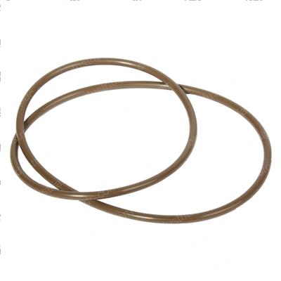 Picture of O-Ring