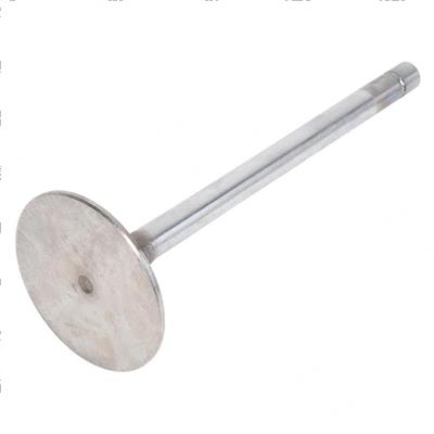 Picture of Valve, Intake