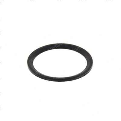 Picture of Seal