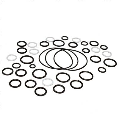 Picture of Seal Kit -  Cylinder Overhaul