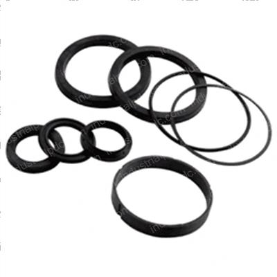 Picture of Seal Kit - Hydraulic Cylinder