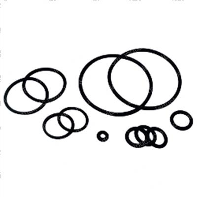 Picture of Seal Kit - Hydraulic Cylinder