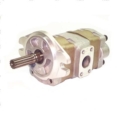 Picture of Pump - Gear