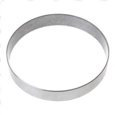 Picture of Wear Ring