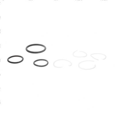 Picture of Seals