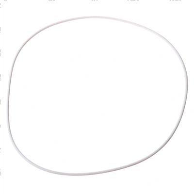 Picture of O-Ring