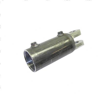 Picture of Shell