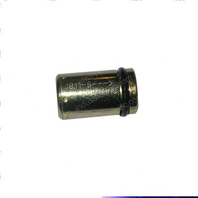 Picture of Valve - Check