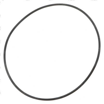 Picture of O Ring Seal