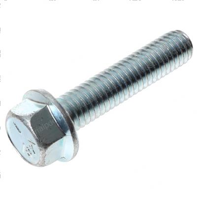 Picture of Flange Screw
