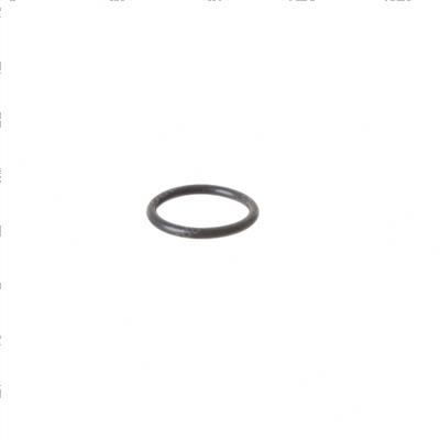 Picture of O-Ring