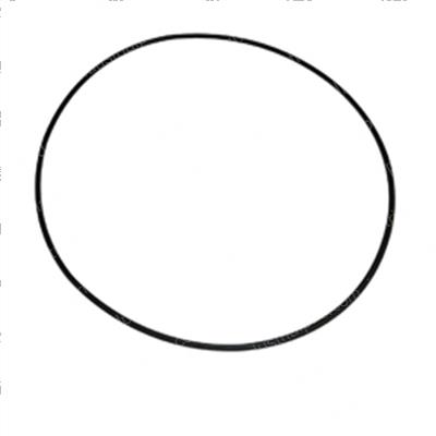 Picture of O-Ring - Drive Unit Cover