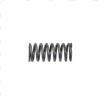 Picture of Spring - Hydraulic Unit