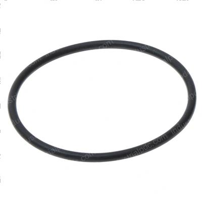 Picture of O-Ring