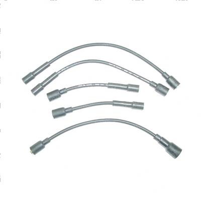 Picture of Cord Set - Coil + Plug