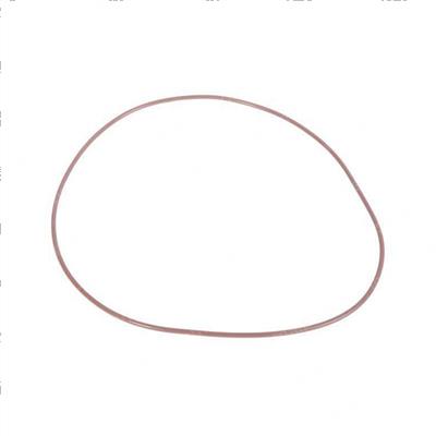 Picture of O-Ring