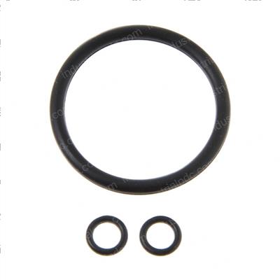 Picture of Seal Kit 13876 Caliper