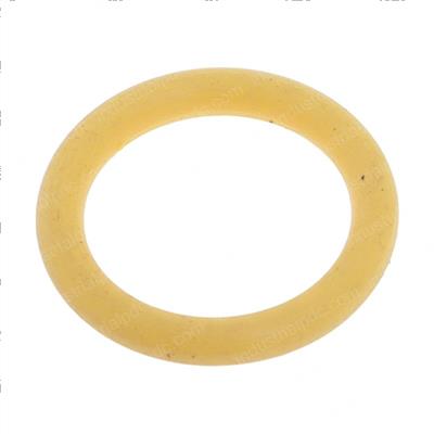 Picture of O-Ring