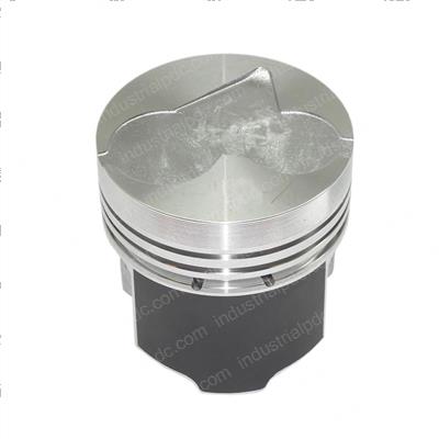Picture of Piston 025
