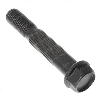 Picture of Bolt