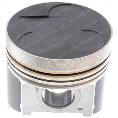 Picture of Piston- 05