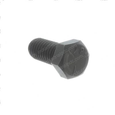 Picture of Bolt