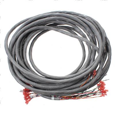 Picture of Cable 18ga25c 300v 50ft