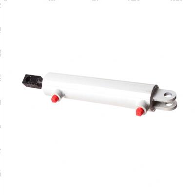 Picture of Cylinder Steering Tm