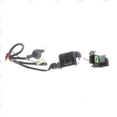 Picture of Ignitor