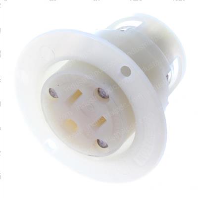 Picture of Receptacle- Female (leviton #5
