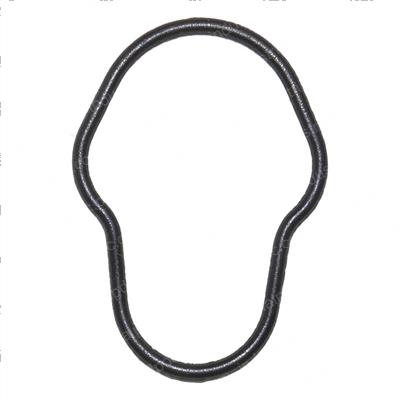 Picture of O-Ring