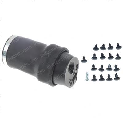 Picture of Spring - Air