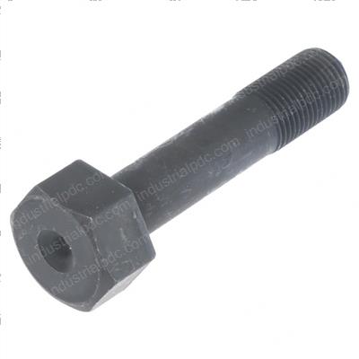 Picture of Bolt - Special