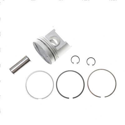 Picture of Piston Kit