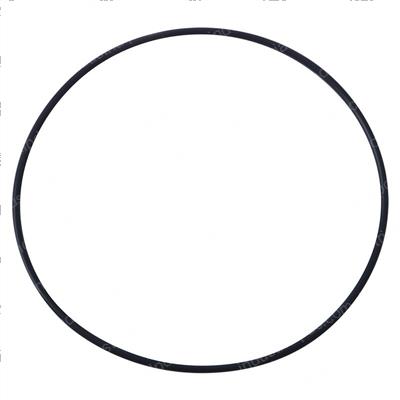 Picture of O Ring