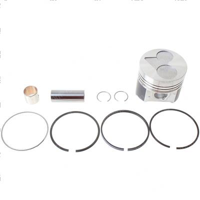 Picture of Piston Kit(std)