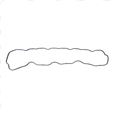 Picture of Gasket