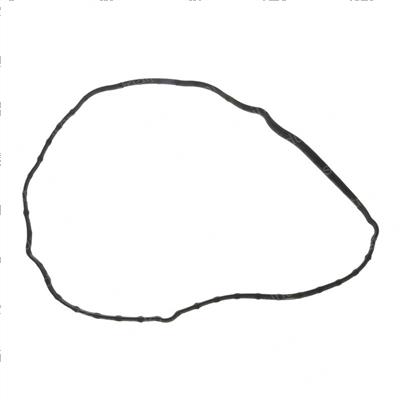 Picture of Gasket