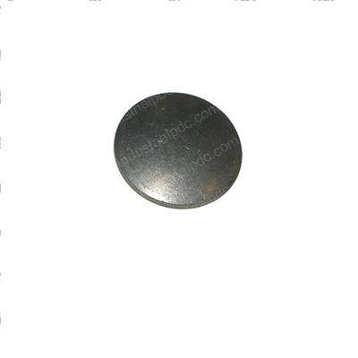 Picture of Plug - Expansion