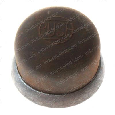 Picture of Cover Cap + Nut Assembly