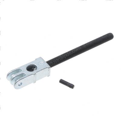Picture of Chain Term.lwr.ss