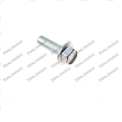 Picture of Hdwr Flange Bolt
