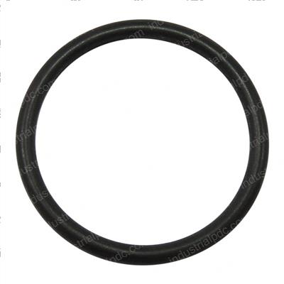 Picture of O-Ring