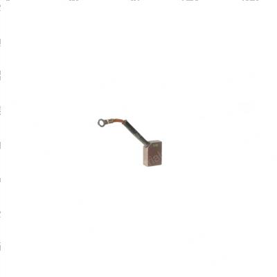 Picture of Brushes Motor
