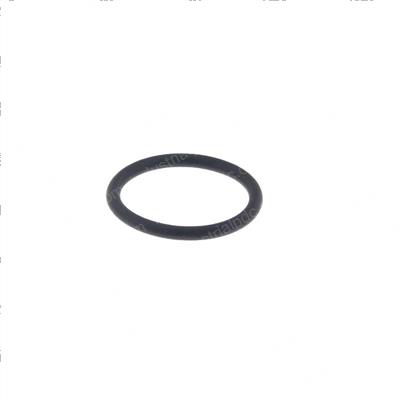 Picture of O-Ring