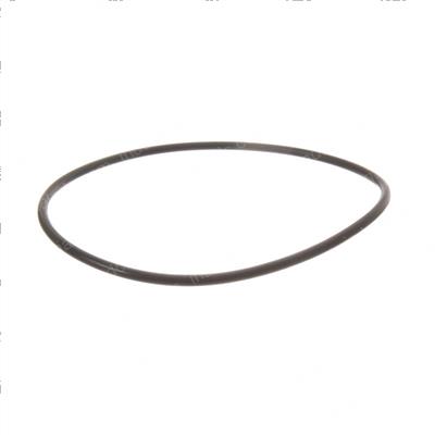 Picture of O-Ring