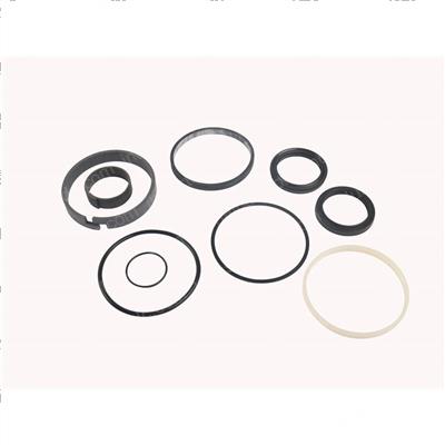 Picture of Seal Kit - Hydraulic Cylinder
