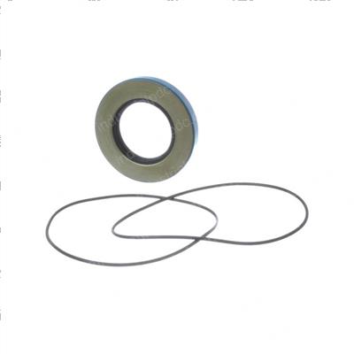 Picture of Seal Kit - Torque Hub