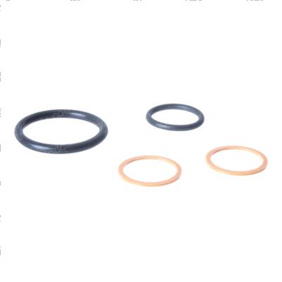 Picture of Seal Kit 2-Wy Valve